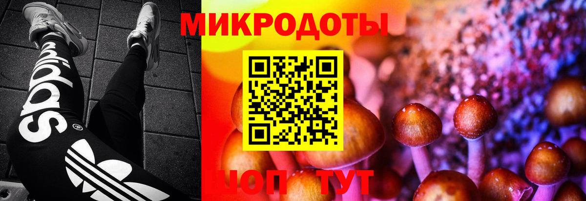 Псилоцибиновые грибы Magic Shrooms Калининград